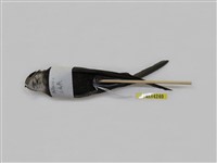 藏品(小雨燕)的圖片